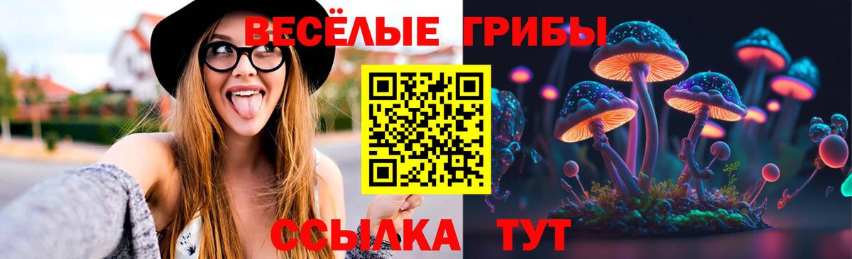 Псилоцибиновые грибы Magic Shrooms  цены   Псилоцибиновые грибы Psilocybe  Балашов  Вход с VPN 